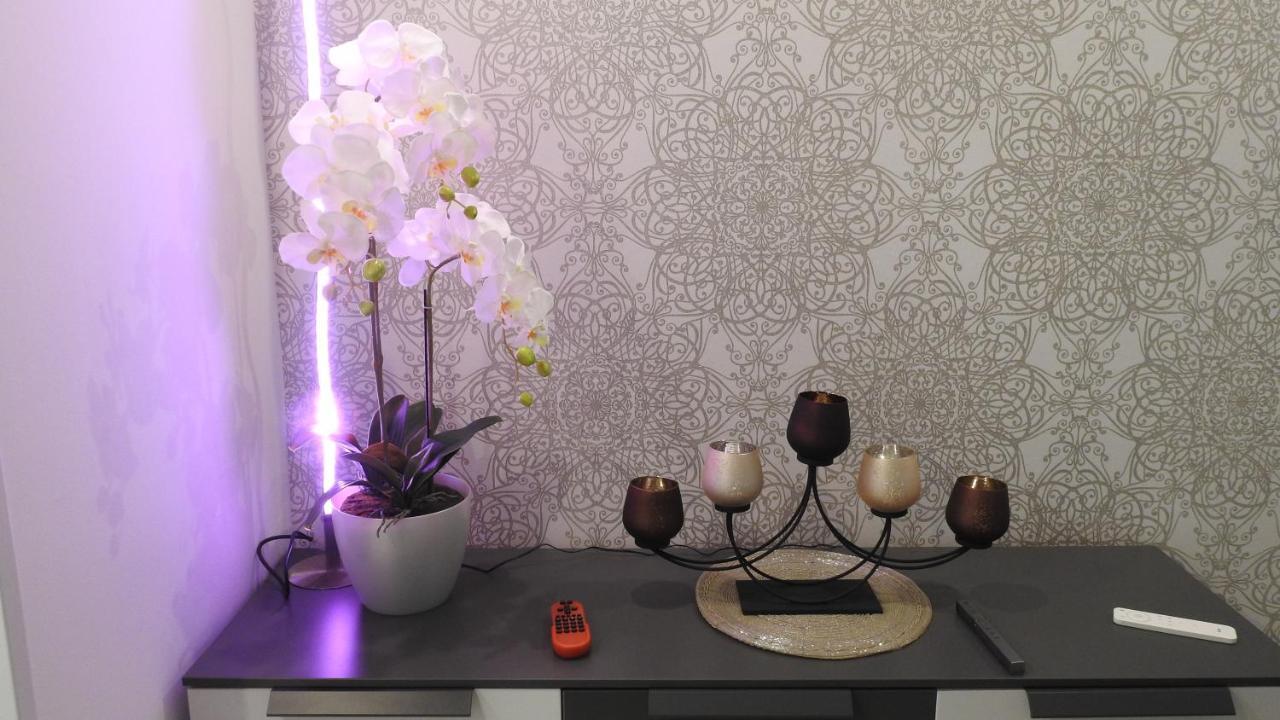 Appartement Nest *